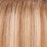 #color_PalmSpringsBlonde_FS17_101S18_HH