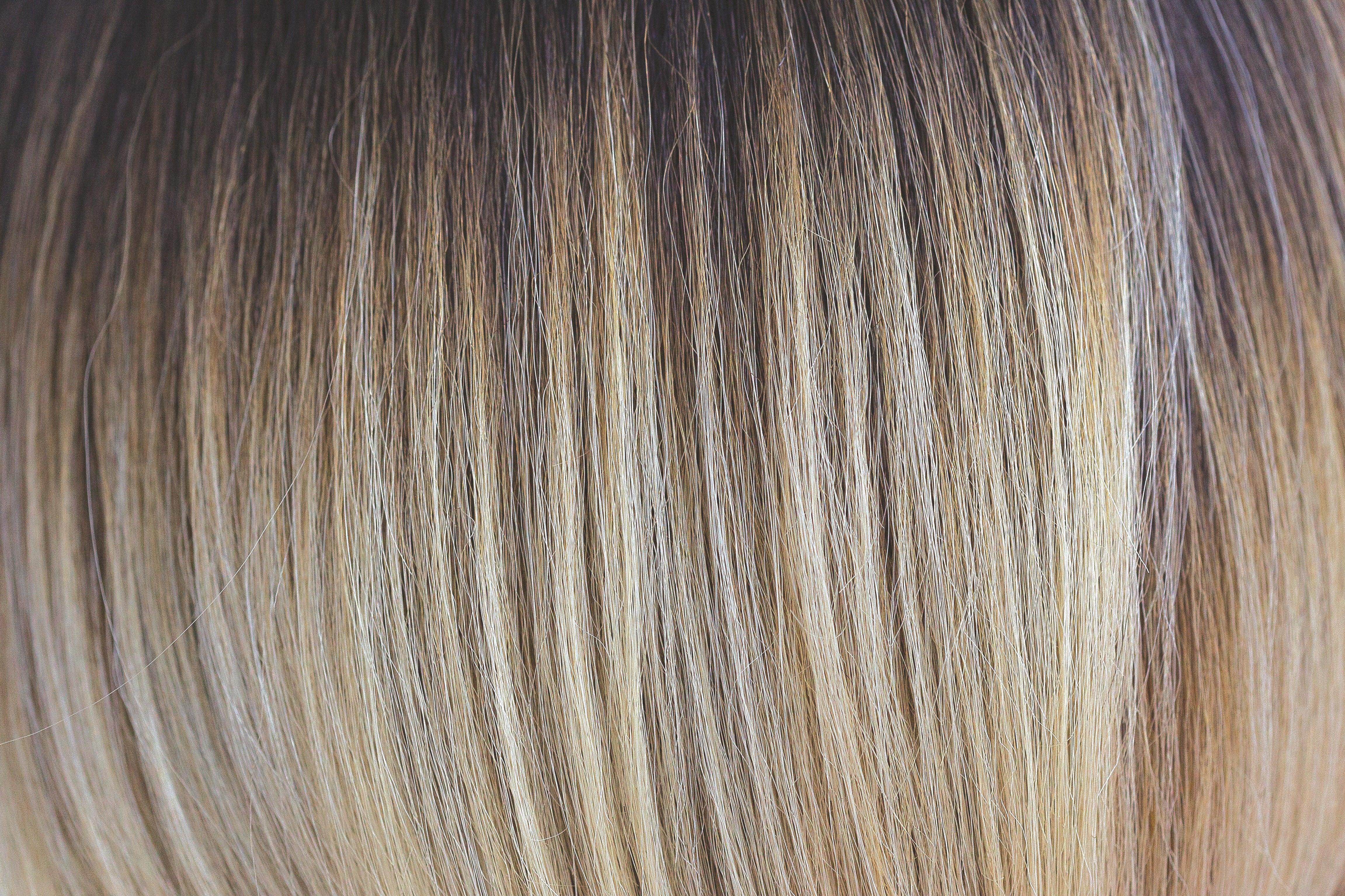 #color_blondebrownmedley