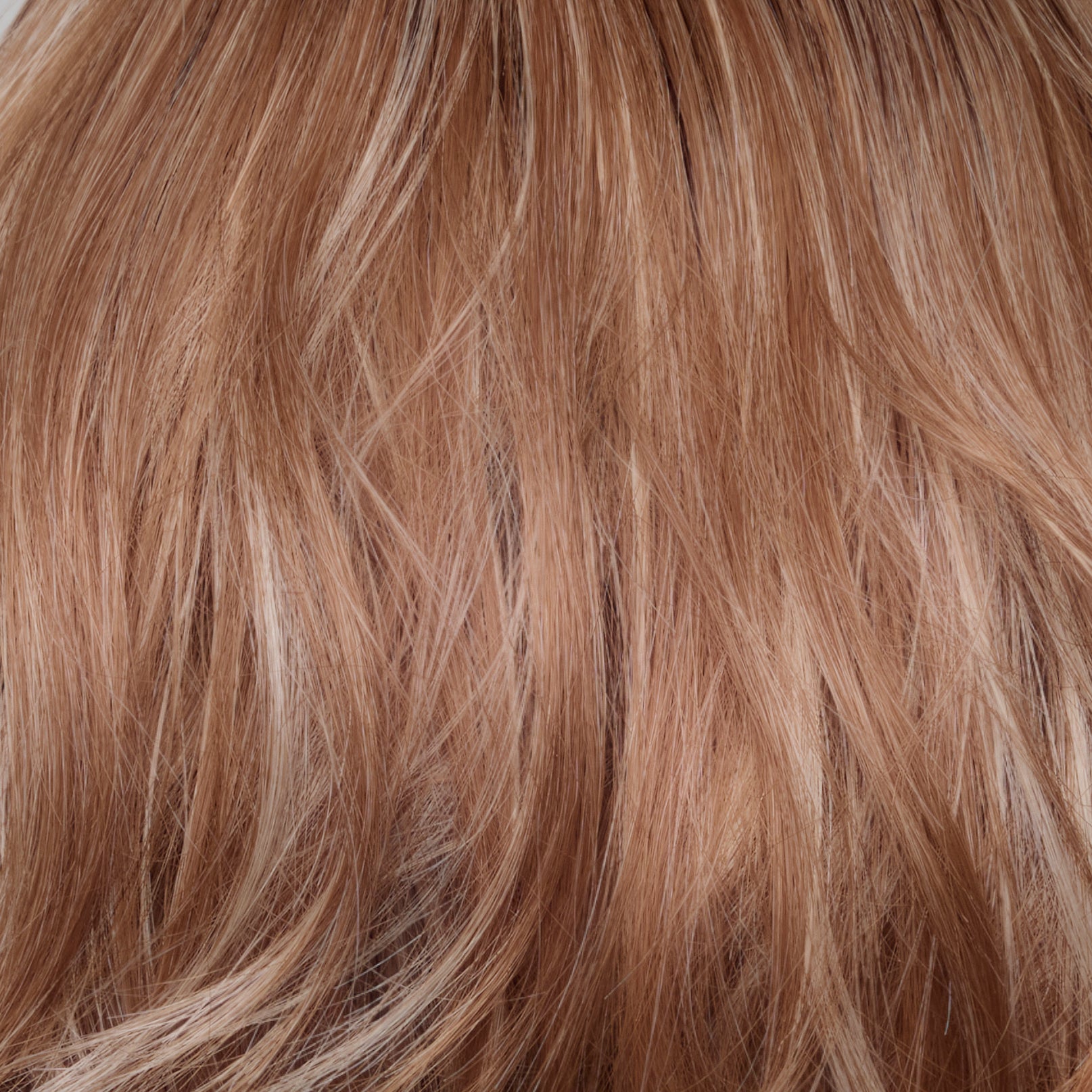 #color_cinnamonfrostrooted