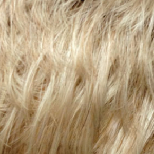 #color_NaturalSandBlonde