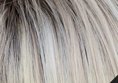 #color_SilverRoots