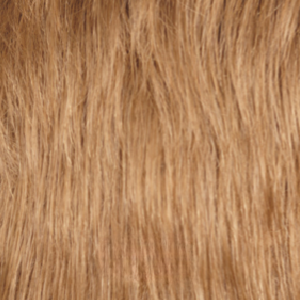 #color_WarmHoneyBlonde