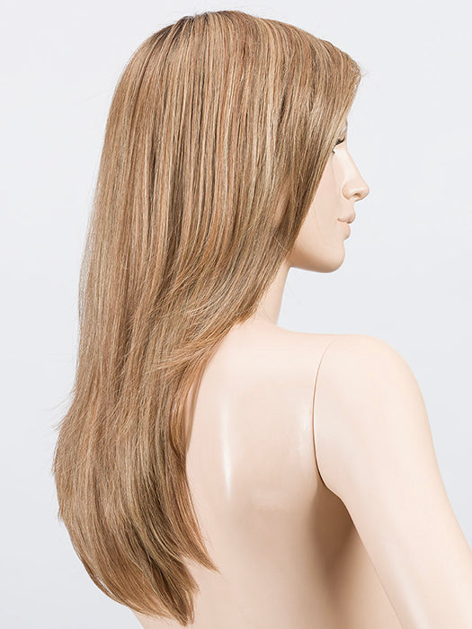 Light Bernstein Rooted