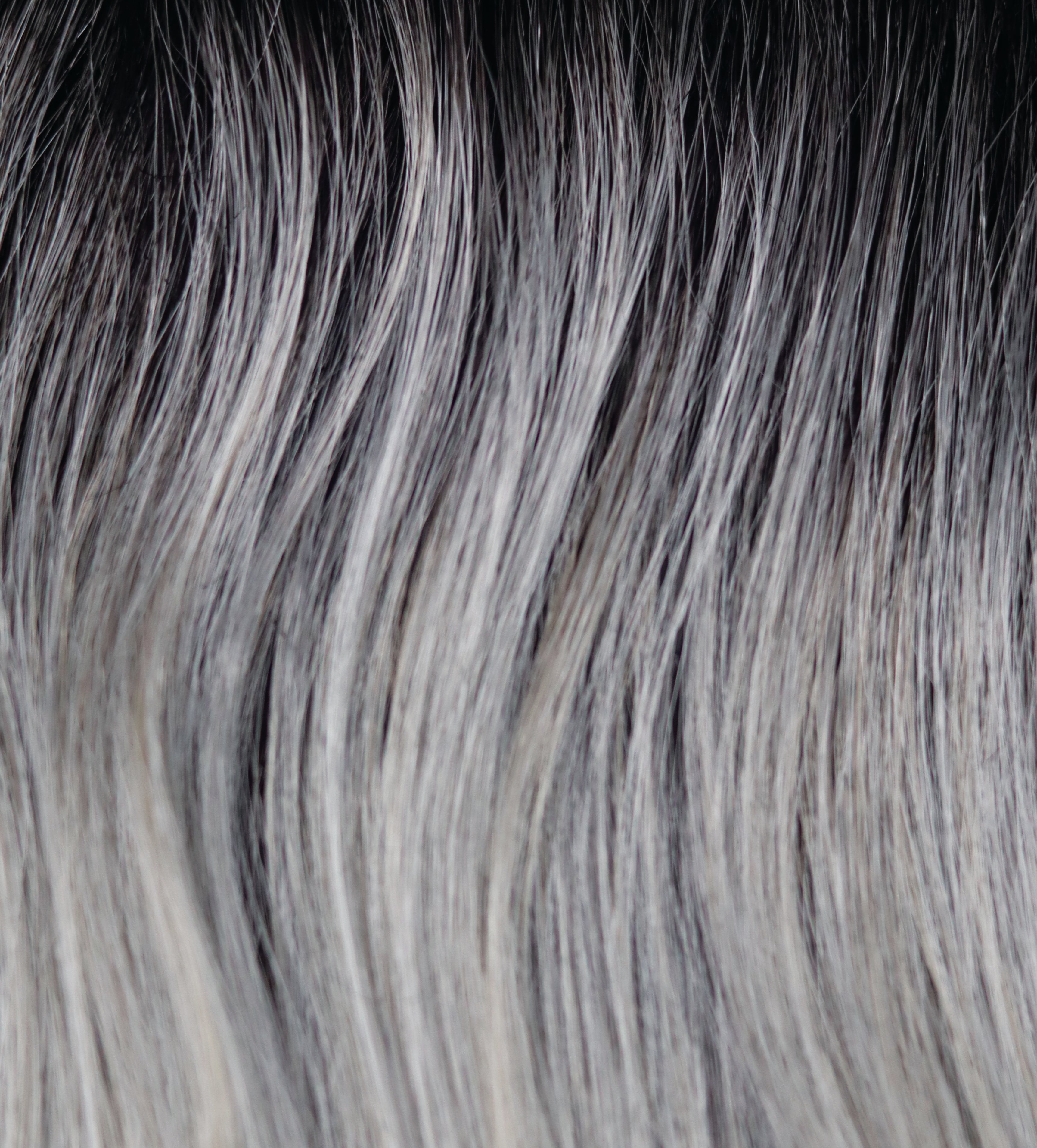 #color_silvergreystonerooted