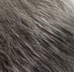 #color_frozeneclipse