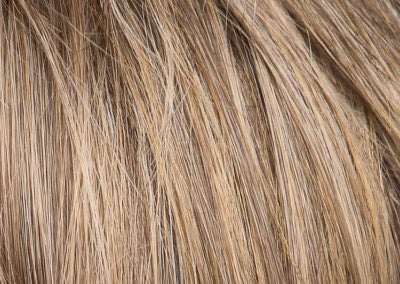 #color_radiantbronze