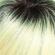 #color_613102S8_HH