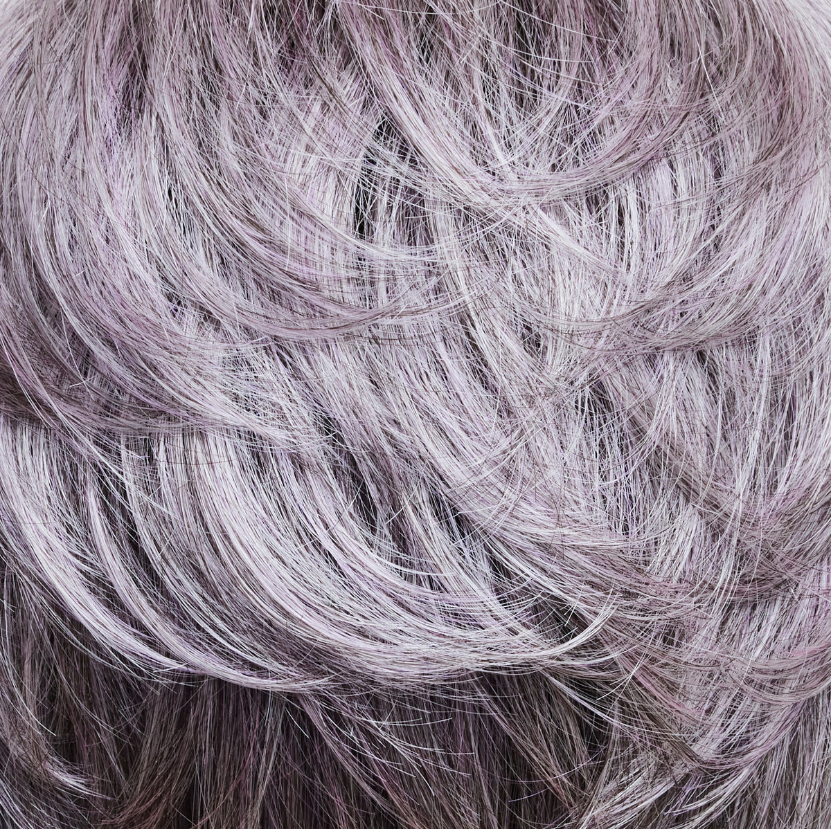 #color_lilacsilverrooted