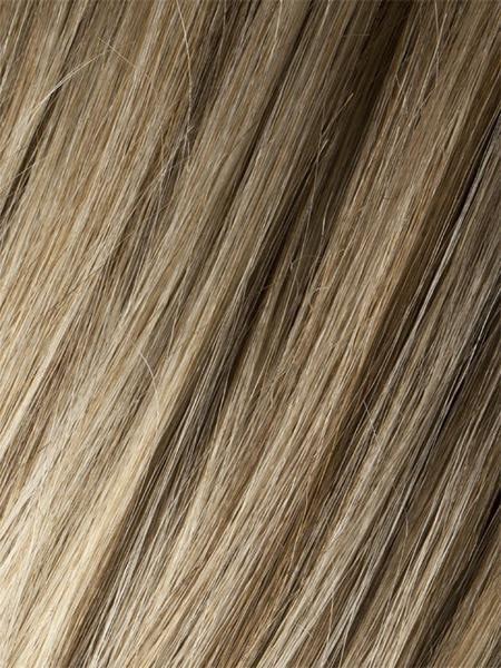 Matrix Sandy Blonde Rooted swatch