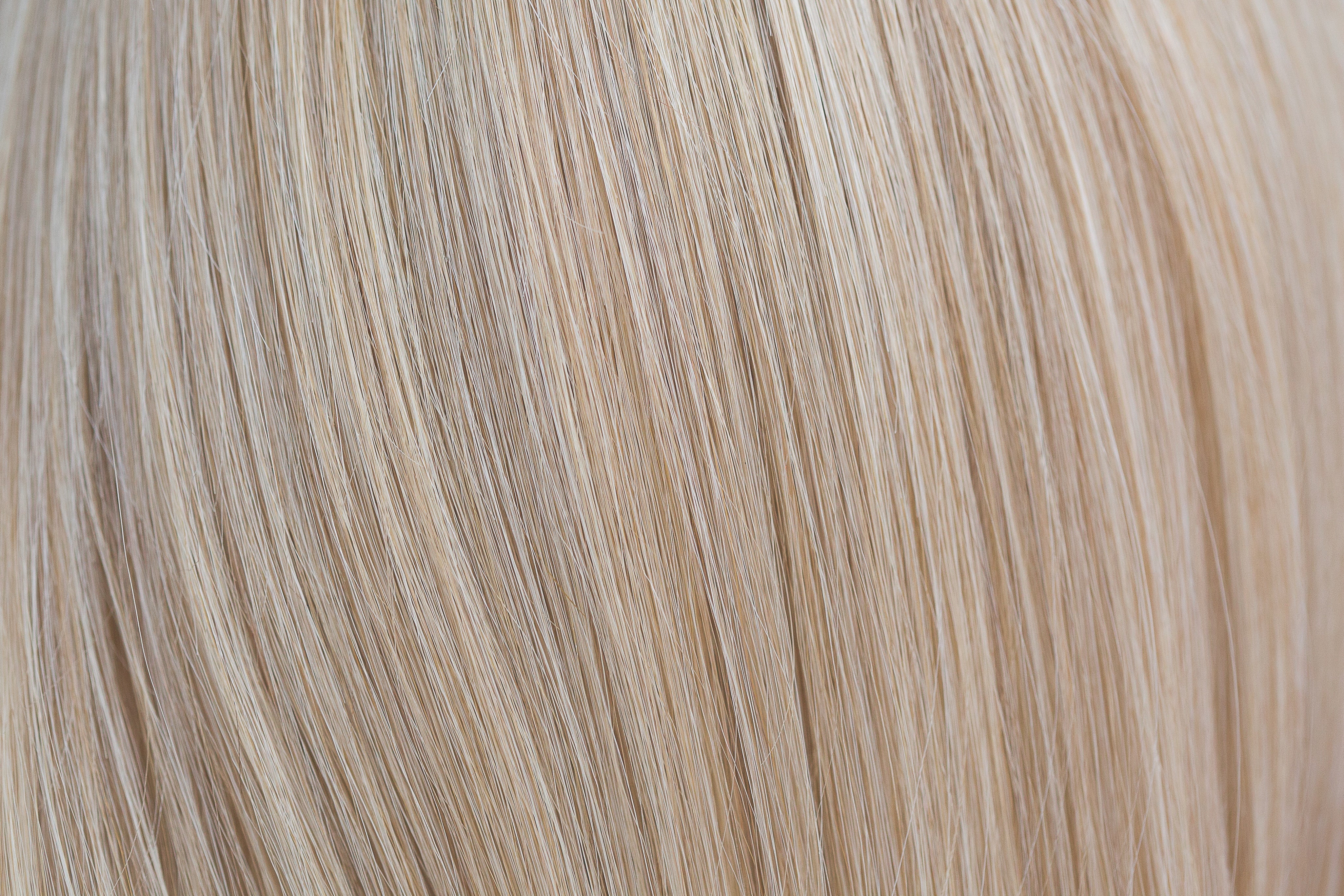 Golden Wheat