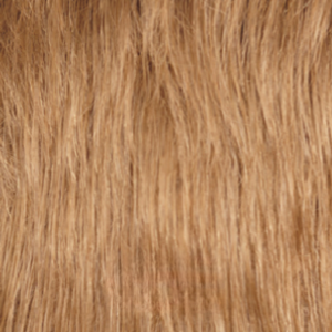 #color_Pale_Moonlight_Blonde