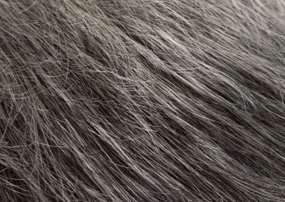 #color_frozeneclipse