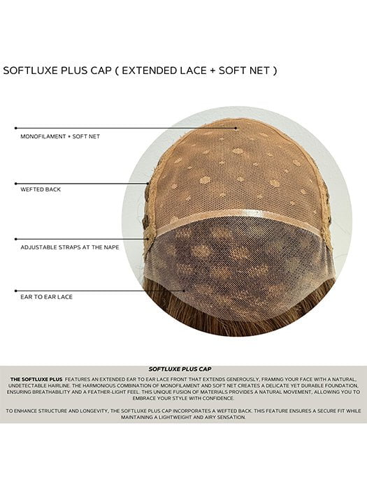 Findley by Amore - cap construction diagram, Lace Front Soft Net Monofilament Top