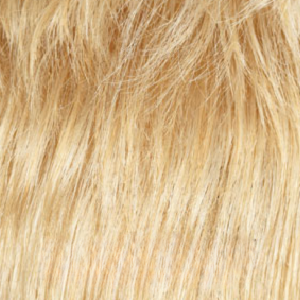 #color_WarmButterBlondeBlended