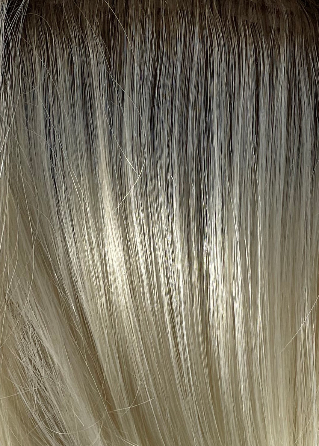 #color_seashellblonderooted